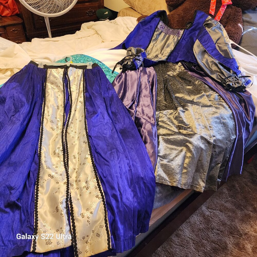 Renaissance court gown